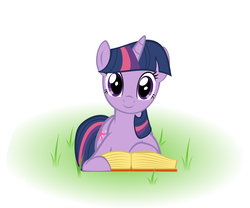 Size: 4800x4000 | Tagged: safe, artist:thetidbit, twilight sparkle, pony, unicorn, g4, book, female, looking at you, lying down, mare, reading, solo, unicorn twilight