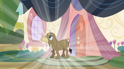 Size: 1054x592 | Tagged: safe, screencap, cranky doodle donkey, donkey, a friend in deed, g4, male, shine, solo