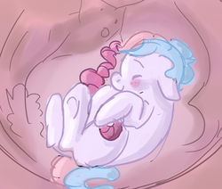 Size: 1042x883 | Tagged: safe, artist:dolly, artist:twizzle, oc, oc only, oc:bundle joy, amniotic fluid, colored, fetus, in utero, solo, umbilical cord, uterus