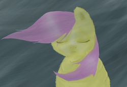 Size: 925x633 | Tagged: safe, artist:waggytail, fluttershy, fluffy pony, g4, crying, female, fluffyshy, solo, wind