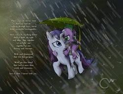 Size: 1024x784 | Tagged: safe, artist:marzzel, rarity, spike, g4, female, leaf, looking back, male, rain, riding, ship:sparity, shipping, smiling, spike riding rarity, straight, tail hold, wet, wet mane