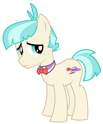 Size: 1600x1926 | Tagged: safe, artist:evilfrenzy, coco pommel, earth pony, pony, g4, rarity takes manehattan, cocoa cantle, male, rule 63, simple background, solo, stallion, vector