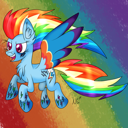 Size: 3000x3000 | Tagged: safe, artist:novaspark, rainbow dash, g4, colored wings, female, high res, multicolored wings, rainbow power, rainbow wings, solo