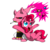 Size: 800x800 | Tagged: safe, artist:artybeat, pinkie pie, earth pony, pony, g4, candy, crossover, cute, dragon ball, majin boo, ponified