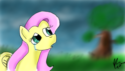 Size: 1280x730 | Tagged: safe, artist:flutteralpaca, fluttershy, g4, crying, female, sad, solo