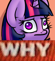 Size: 638x705 | Tagged: safe, artist:slavedemorto, edit, twilight sparkle, pony, g4, derp, female, frown, image macro, meme, reaction image, solo, why.jpg, wide eyes