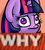 Size: 638x705 | Tagged: safe, artist:slavedemorto, edit, twilight sparkle, pony, g4, derp, female, frown, image macro, meme, reaction image, solo, why.jpg, wide eyes