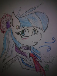 Size: 960x1280 | Tagged: safe, artist:lawrencexviii, coco pommel, g4, rarity takes manehattan, female, solo, traditional art