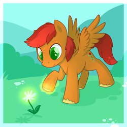 Size: 1280x1280 | Tagged: safe, artist:cuddlehooves, oc, oc only, oc:sundried tomato, pegasus, pony, colt, flower, magic, male, solo