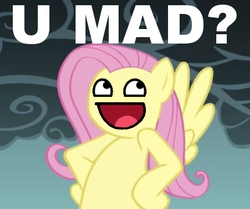 Size: 430x360 | Tagged: safe, fluttershy, g4, female, image macro, solo