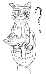 Size: 1894x3000 | Tagged: safe, artist:evil-spider, applejack, cat, pony, g4, female, grumpy cat, lineart, monochrome, question mark, sitting on head, solo