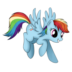 Size: 1500x1500 | Tagged: safe, artist:trickyhook, rainbow dash, g4, female, solo