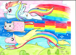 Size: 2337x1700 | Tagged: safe, artist:theundertakerskitty, rainbow dash, cat, pegasus, pony, g4, adventure time, crossover, day, flying, lady rainicorn, male, nyan cat, nyan dash, rainbow, rainicorn, sky, traditional art, trio