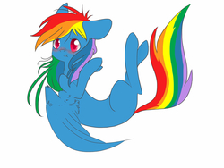 Size: 2400x1800 | Tagged: safe, artist:hexeana, rainbow dash, g4, blushing, female, scrunchy face, solo