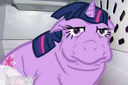 Size: 500x333 | Tagged: safe, artist:broken cog, twilight sparkle, g4, female, meme, solo