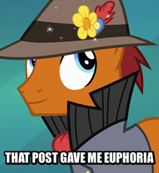 Size: 373x404 | Tagged: safe, edit, edited screencap, screencap, sourpuss, earth pony, pony, g4, rarity takes manehattan, atheism, caption, euphoric, goldstein, grumpy cat, image macro, inverted mouth, male, reaction image, solo, stallion