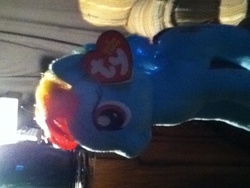 Size: 960x720 | Tagged: safe, rainbow dash, g4, female, irl, photo, toy, ty