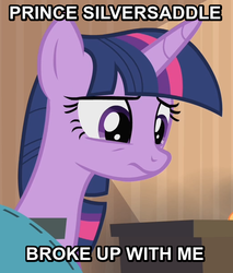 Size: 516x606 | Tagged: safe, twilight sparkle, alicorn, pony, g4, rarity takes manehattan, female, hot in cleveland, image macro, prince silversaddle, solo, twilight sparkle (alicorn)