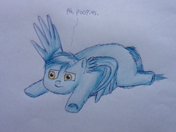 Size: 960x720 | Tagged: safe, artist:waggytail, fluffy pony, pegasus, pony, large wings, sketch, solo