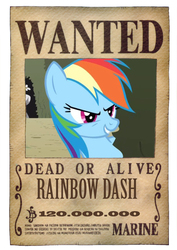 Size: 600x849 | Tagged: safe, artist:lightdegel, rainbow dash, g4, crossover, female, one piece, roronoa zoro, solo, wanted, wanted poster