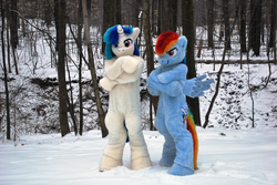 Size: 1936x1296 | Tagged: safe, artist:spainfischer, dj pon-3, rainbow dash, vinyl scratch, human, pegasus, pony, g4, 2012, clothes, cosplay, crossed arms, crossed hooves, fursuit, irl, irl human, ohio, photo, ponysuit, pose, smiling, smirk, snow, suit, tail, wings