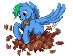Size: 650x500 | Tagged: safe, artist:darkodraco, oc, oc only, leaves, simple background, solo, transparent background
