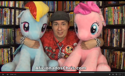 Size: 1097x669 | Tagged: safe, artist:aficionados chris, pinkie pie, rainbow dash, g4, aficionados chris, irl, photo, plushie, youtube, youtube link