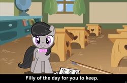Size: 1440x936 | Tagged: safe, octavia melody, earth pony, pony, g4, bow (instrument), bronybait, caption, cs captions, cute, female, filly, foal, music notes, school, sheet music, smiling, solo, tavibetes