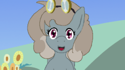 Size: 450x252 | Tagged: safe, dust devil, pegasus, pony, g4, animated, background pony, cute, dust, dusty, goggles, palindrome get