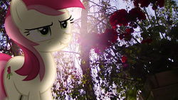 Size: 3840x2160 | Tagged: safe, artist:bastbrushie, artist:bobsicle0, roseluck, earth pony, pony, g4, female, flower, garden, high res, irl, lens flare, mare, photo, ponies in real life, rose, scrunchy face, solo, vector