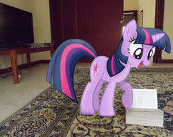 Size: 3941x3120 | Tagged: safe, artist:missbeigepony, artist:mrlolcats17, twilight sparkle, pony, unicorn, g4, book, carpet, door, dvd player, female, high res, irl, mare, photo, ponies in real life, smiling, solo, television, unicorn twilight, vector