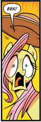 Size: 329x963 | Tagged: safe, idw, fluttershy, friendship is magic #24, g4, my little pony: friendship is magic (idw), spoiler:comic, cropped, idw advertisement, panel, panic, reaction image