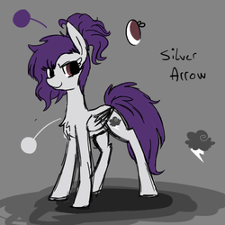 Size: 500x500 | Tagged: safe, artist:limitedcolour, oc, oc only, oc:silver arrow, pegasus, pony, reference sheet, solo