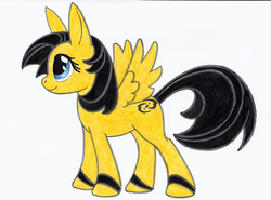 Size: 467x345 | Tagged: safe, pegasus, pony, bionicle, crossover, lego, mata nui, ponified, solo