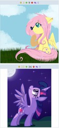 Size: 253x547 | Tagged: safe, artist:chibimlp-lover, artist:php92, fluttershy, twilight sparkle, alicorn, butterfly, pony, derpibooru, g4, exploitable meme, female, juxtaposition, juxtaposition win, mare, meme, meta, twilight sparkle (alicorn)