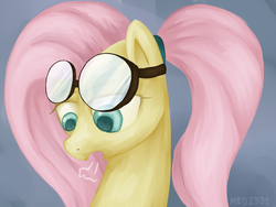 Size: 1024x768 | Tagged: safe, artist:med2301, fluttershy, g4, female, goggles, solo