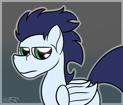 Size: 1024x873 | Tagged: safe, artist:internetianer, soarin', pony, g4, annoyed, male, solo