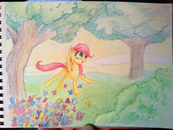 Size: 1280x960 | Tagged: safe, artist:sokolas, fluttershy, butterfly, g4, female, filly, solo, traditional art