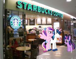 Size: 950x732 | Tagged: safe, artist:dm29, princess cadance, shining armor, twilight sparkle, g4, art theft, coffee, starbucks