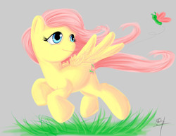 Size: 1650x1275 | Tagged: safe, artist:xtreme9nahual, fluttershy, butterfly, g4, female, solo