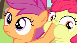 Size: 500x281 | Tagged: safe, screencap, apple bloom, scootaloo, g4, somepony to watch over me, hoof in mouth, puffy cheeks