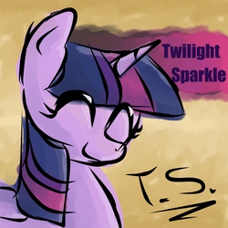 Size: 4000x4000 | Tagged: safe, artist:whatchyagonnado, twilight sparkle, alicorn, pony, g4, female, mare, solo, twilight sparkle (alicorn)