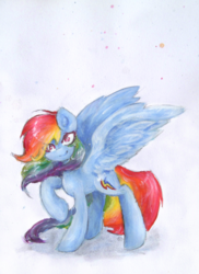 Size: 2766x3791 | Tagged: safe, artist:catseye-view, rainbow dash, g4, female, high res, solo