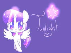 Size: 1024x768 | Tagged: safe, artist:le-poofe, twilight sparkle, alicorn, pony, g4, female, mare, solo, twilight sparkle (alicorn)