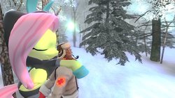 Size: 1024x578 | Tagged: safe, fluttershy, g4, 3d, crossover, gmod, medic, medic (tf2), snow, team fortress 2