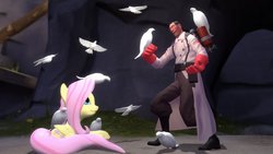 Size: 900x506 | Tagged: safe, fluttershy, bird, pigeon, g4, 3d, crossover, gmod, medic, medic (tf2), team fortress 2