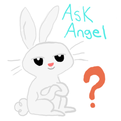 Size: 1280x1280 | Tagged: safe, angel bunny, ask angel, g4, ask, male, solo, tumblr