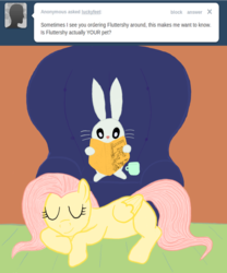 Size: 1067x1280 | Tagged: safe, angel bunny, fluttershy, ask angel, g4, ask, book, reading, tumblr