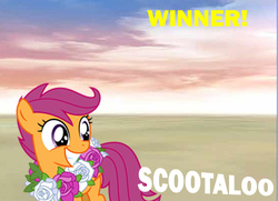 Size: 550x399 | Tagged: safe, scootaloo, g4, female, solo, super smash bros., super smash bros. 4, victory, victory screen