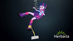 Size: 1920x1080 | Tagged: safe, twilight sparkle, equestria girls, g4, advertisement, commercial, herbaria
